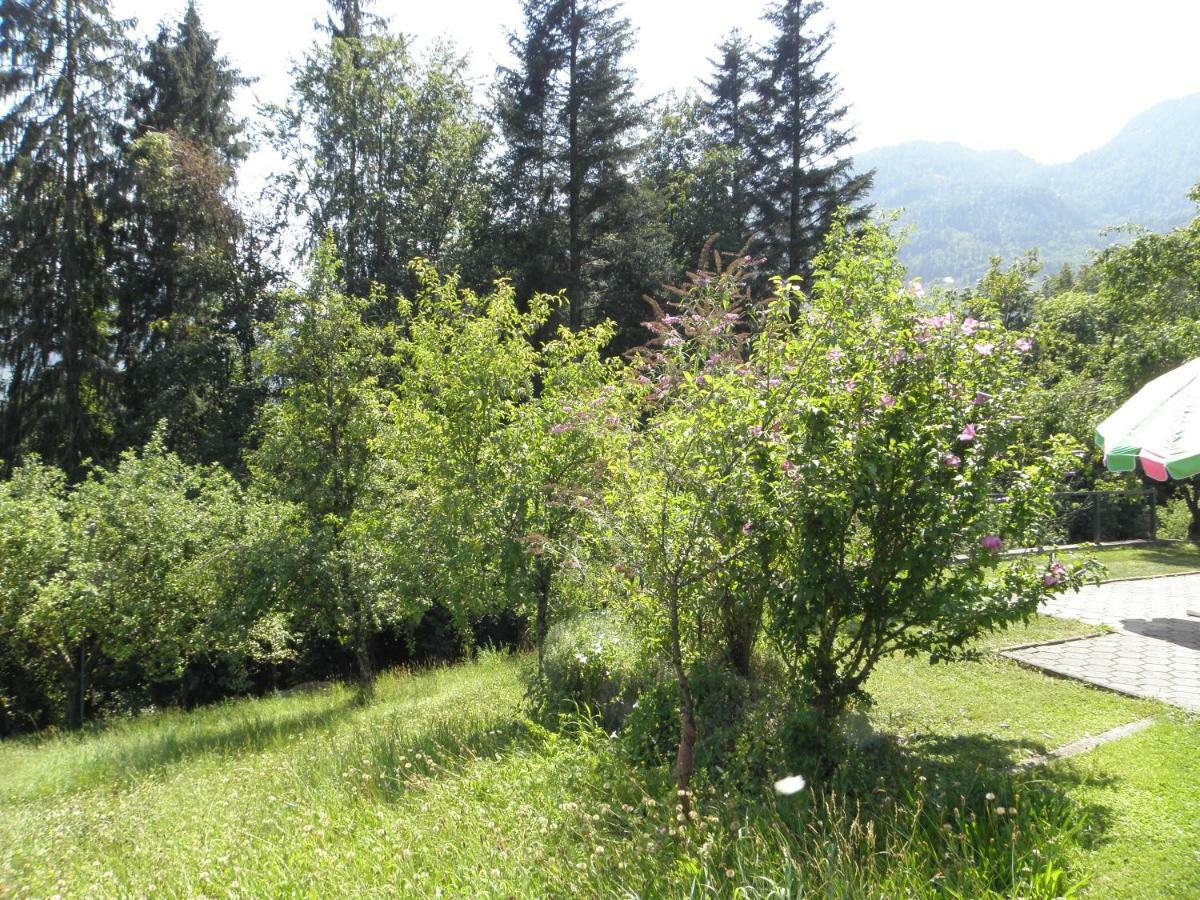 Villa Ferienhaus-Loidl Bad Ischl Exterior foto